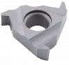 Пластина резьбовая 22NR-3.0SAGE-DM215