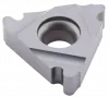 Пластина резьбовая 22ER-6RD-DM215