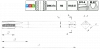 Метчик метрический для сквозных отверстий WTSP1.M14х1,5.6H.DIN374.M35