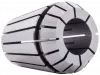 Цанга прецизионная ER25AA-13
