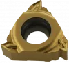 Пластина резьбовая RT16.01W-2.00GM-YBG201