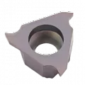 TGF32 TGF32